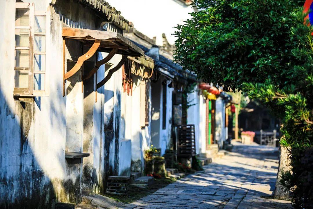 升空的愤怒奶奶